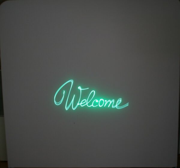 Laser Animation, Partylicht, zu vermieten – Bild 5