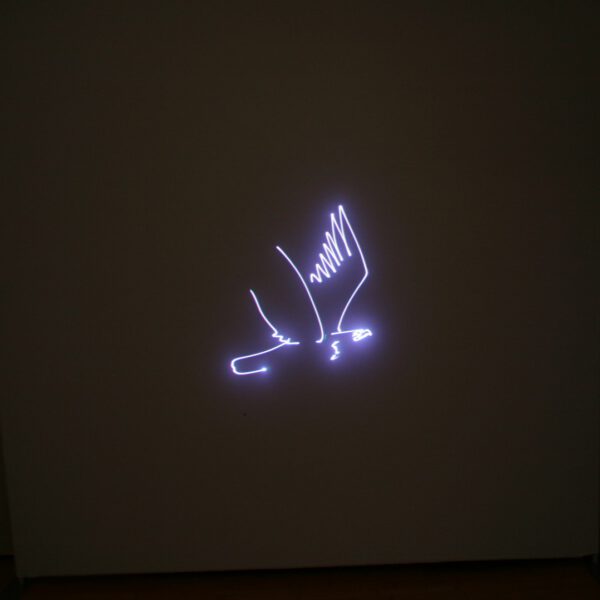 Laser Animation, Partylicht, zu vermieten – Bild 13