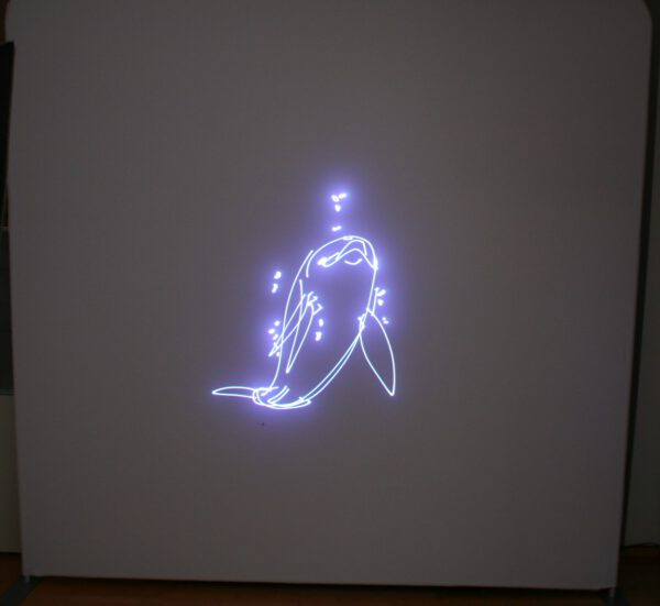 Laser Animation, Partylicht, zu vermieten – Bild 14